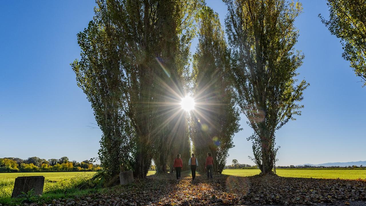 ROYAL COMMUNITY TOUR